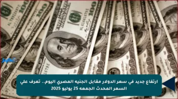ارتفاع جديد في سعر الدولار مقابل الجنيه المصري اليوم.. تعرف على السعر المحدث الجمعة 25 يوليو 2025